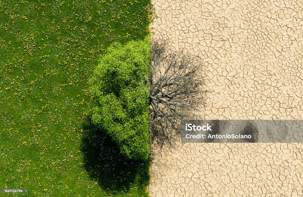 Adaptation au changement climatique
